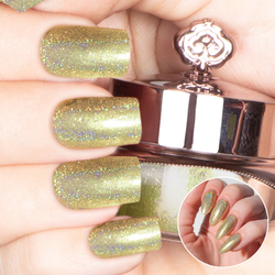 Sequine - Holographic Nail Powder