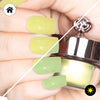 Daisy - Classic Color Changing Nail Powder