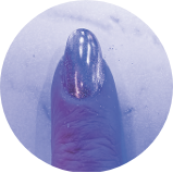 Step 6