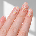 Daisy Daydream - Oval Sustainable Nails
