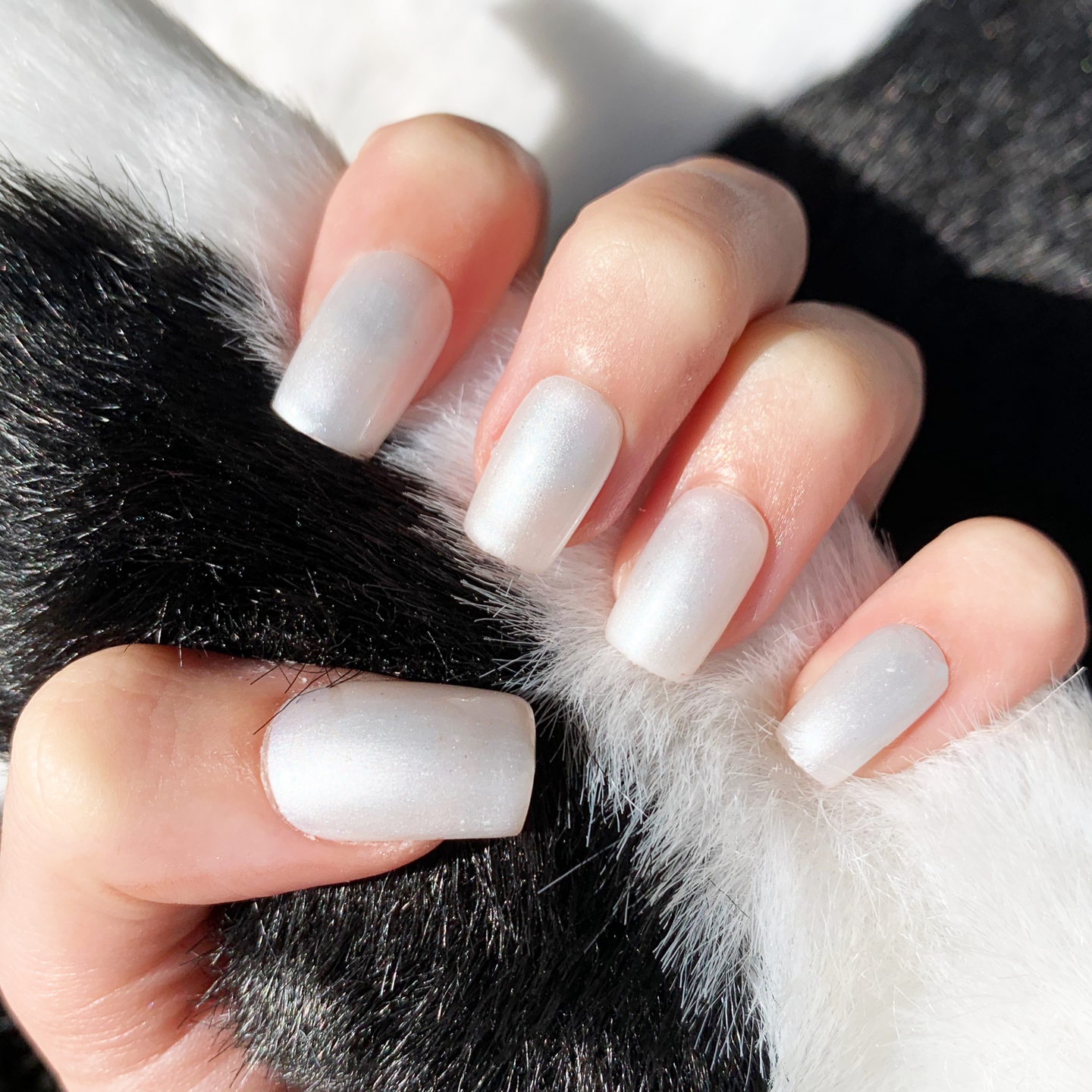 Satin - Classic Nail Powder